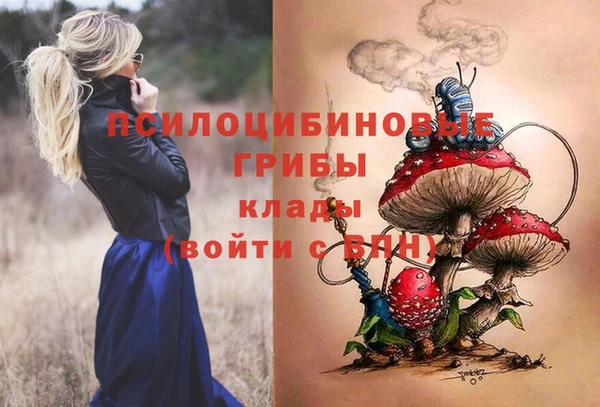 таблы Гусиноозёрск